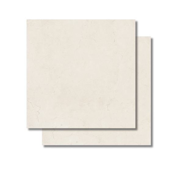 ACROPOLE 62X62 PÚLIDO